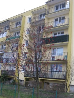 Gdańsk, ul. Witosa 11_3